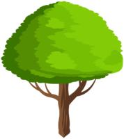 nature & Tree free transparent png image.