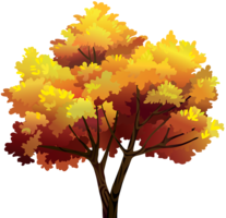 nature & Tree free transparent png image.