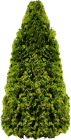 nature & Tree free transparent png image.