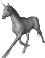 fantasy & Unicorn free transparent png image.