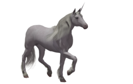 fantasy & Unicorn free transparent png image.