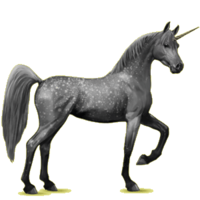 fantasy & unicorn free transparent png image.