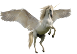 fantasy & Unicorn free transparent png image.