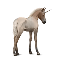 fantasy & Unicorn free transparent png image.