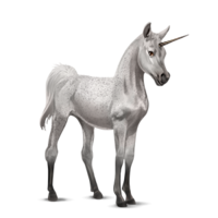 fantasy & Unicorn free transparent png image.