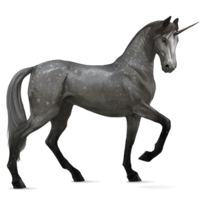 fantasy & unicorn free transparent png image.