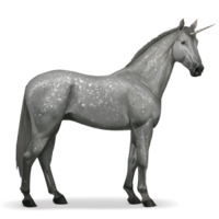 fantasy & Unicorn free transparent png image.