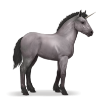 fantasy & Unicorn free transparent png image.