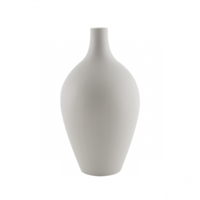 flowers & Vase free transparent png image.