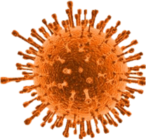 miscellaneous & virus free transparent png image.