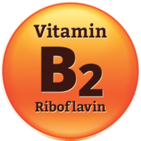 miscellaneous & vitamins free transparent png image.