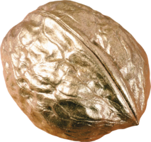 fruits & Walnut free transparent png image.