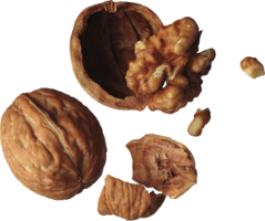 fruits & Walnut free transparent png image.