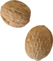 fruits & Walnut free transparent png image.