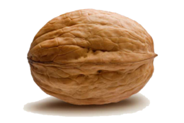 fruits & Walnut free transparent png image.