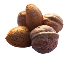 fruits & Walnut free transparent png image.