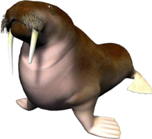 animals & Walrus free transparent png image.