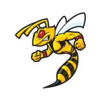 insects & Wasp free transparent png image.