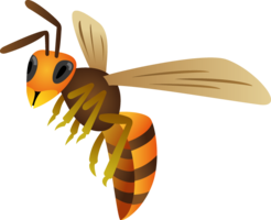 insects & Wasp free transparent png image.