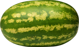 fruits&Watermelon png image.