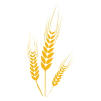 nature & Wheat free transparent png image.