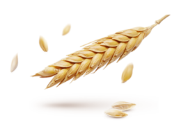 nature & Wheat free transparent png image.