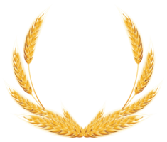 nature & Wheat free transparent png image.