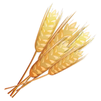 nature & Wheat free transparent png image.