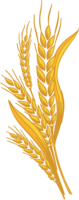 nature & wheat free transparent png image.