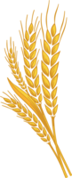 nature & Wheat free transparent png image.