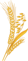 nature & wheat free transparent png image.