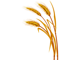 nature & wheat free transparent png image.