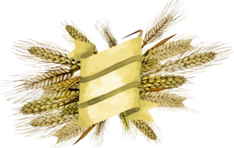 nature & Wheat free transparent png image.