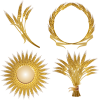 nature & Wheat free transparent png image.