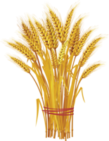 nature & Wheat free transparent png image.