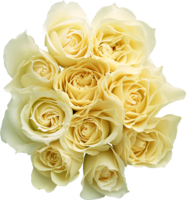 flowers & White roses free transparent png image.