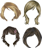 people & Wig free transparent png image.