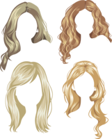 people & Wig free transparent png image.