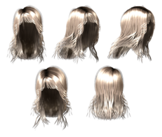 people & Wig free transparent png image.