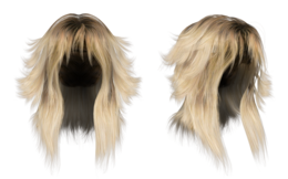 people & Wig free transparent png image.