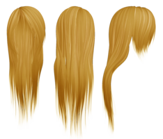 people & Wig free transparent png image.