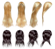 people & wig free transparent png image.