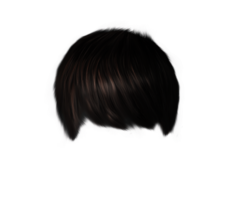 people & Wig free transparent png image.