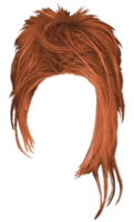 people & wig free transparent png image.