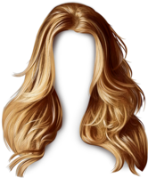 people & Wig free transparent png image.