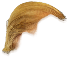 people & wig free transparent png image.