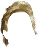 people & Wig free transparent png image.