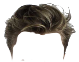 people & Wig free transparent png image.