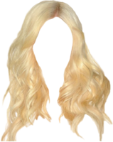 people & Wig free transparent png image.