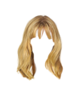 people & Wig free transparent png image.